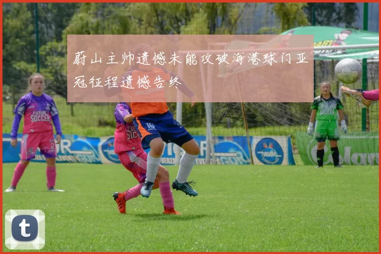 蔚山主帅遗憾未能攻破海港球门亚冠征程遗憾告终