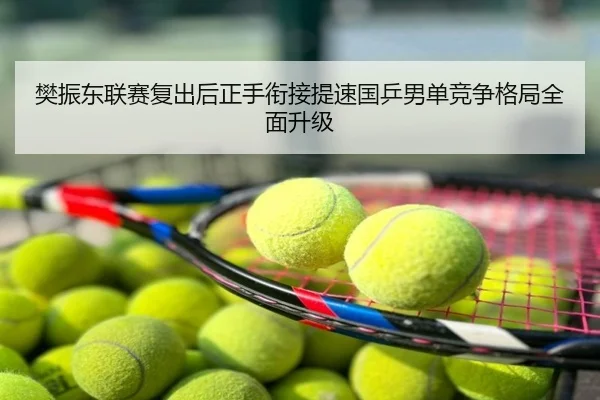 樊振东联赛复出后正手衔接提速国乒男单竞争格局全面升级